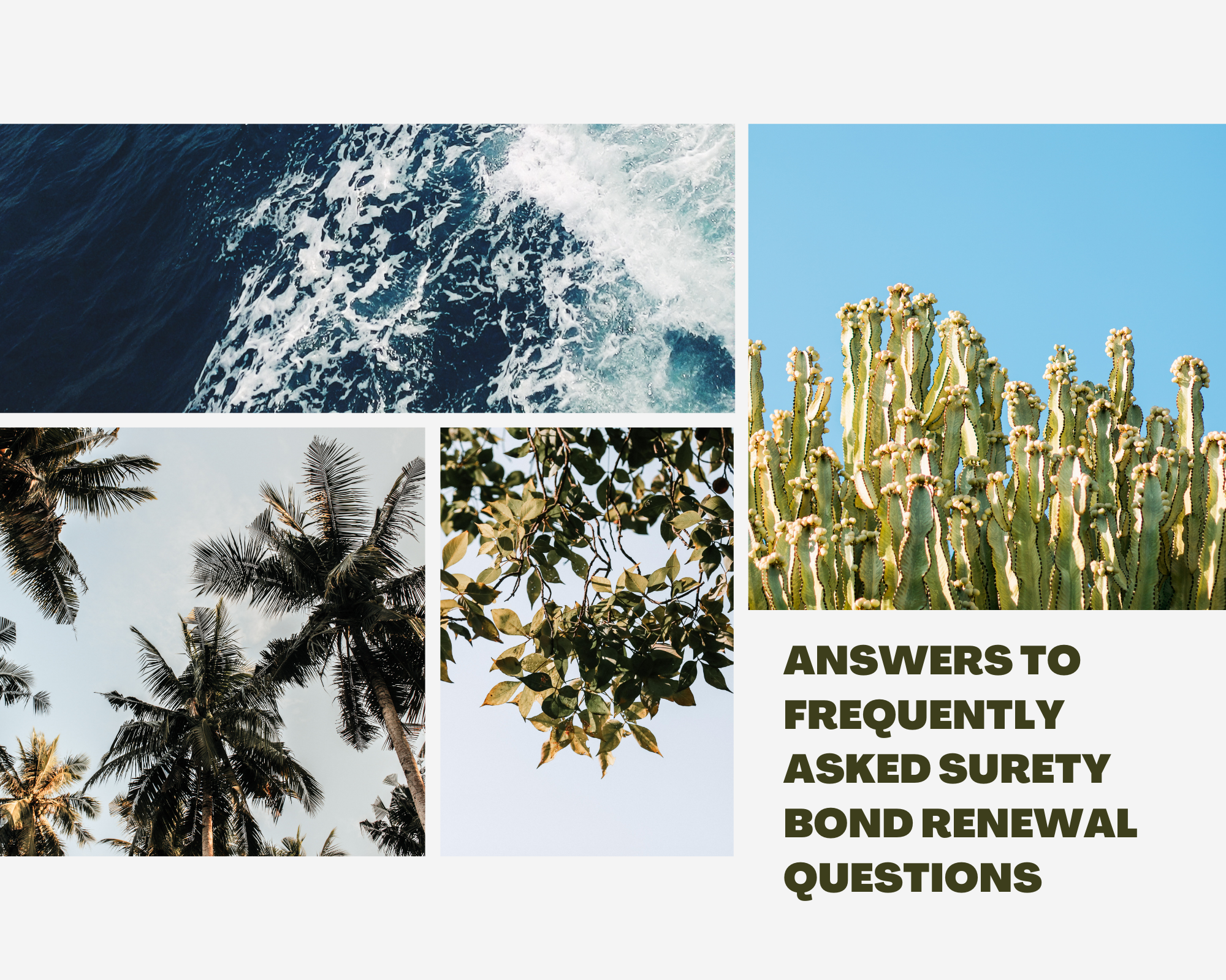 surety bonds - what is the average cost of renewing a surety bond - nature in photo collage
