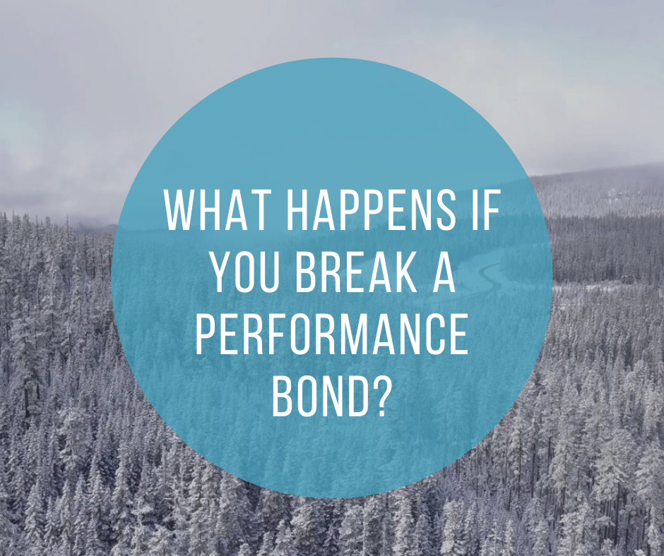 performance bond - how can I get out of performance bond - pines covered in snow