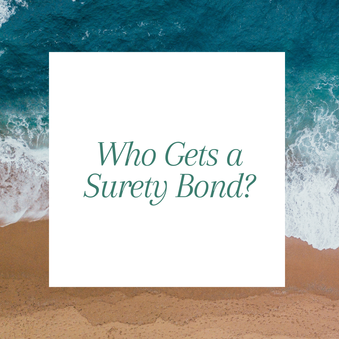 surety bond - who needs a surety bond - seashore with white text box