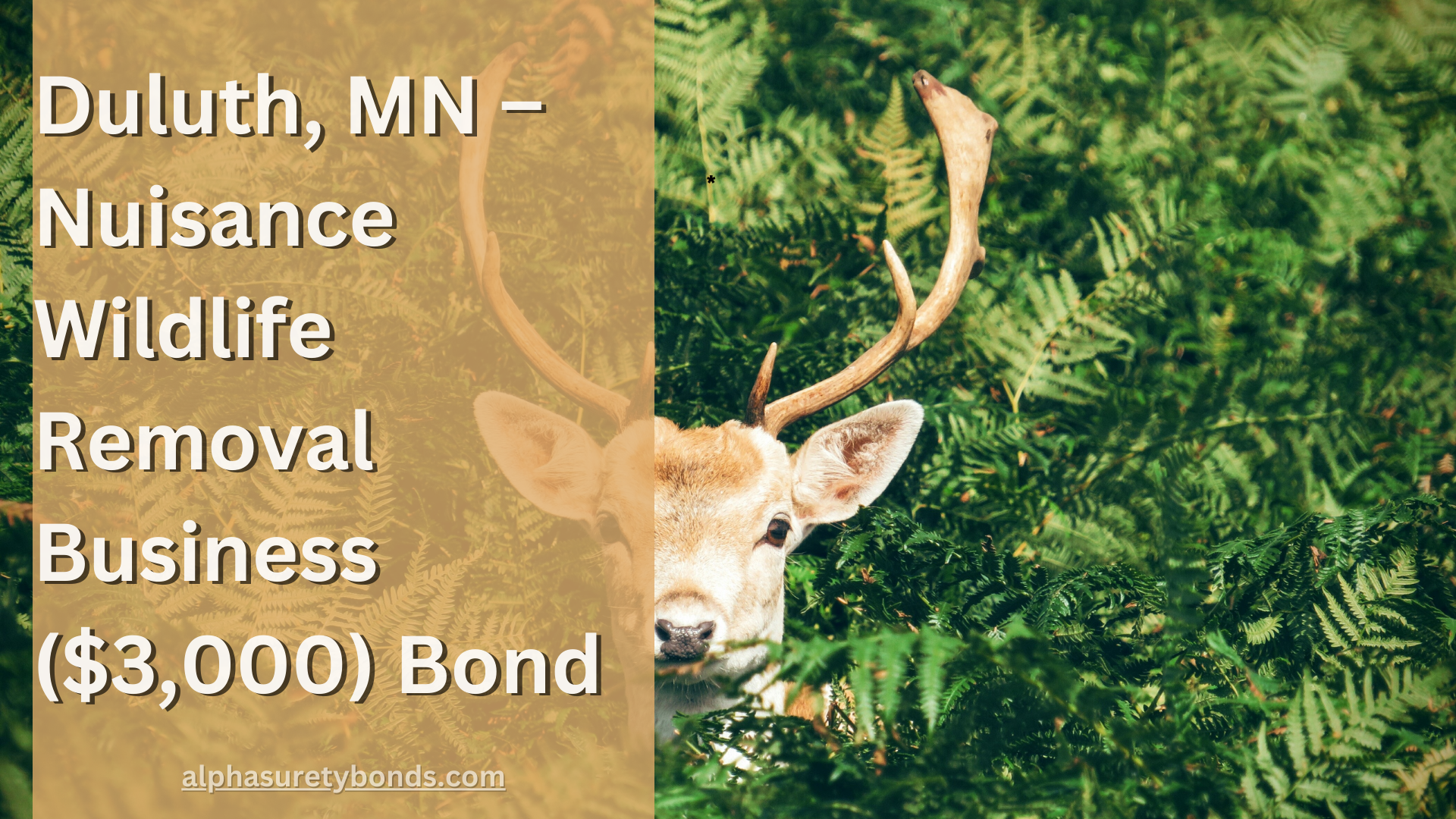 Duluth, MN – Nuisance Wildlife Removal Business ($3,000) Bond
